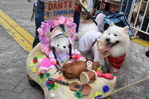 Exitoso primer Desfile Sampedrino de Mascotas en Ibagué - Revista Nuestra